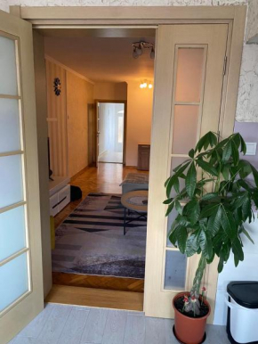 Apartman Ivanovic, Budva